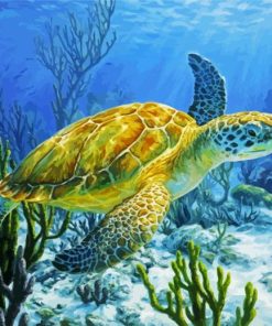 Sea Turtle paint by nnumbers