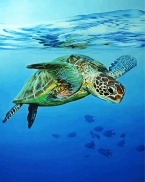 Sea Turtle Swimming In The Water Paint By Numbers - Numeral Paint Kit