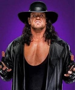 The Undertaker WWE Wrestler paint by numbers