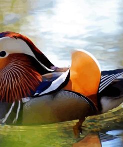 Waterfowl Bird paint by numbers