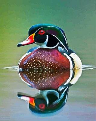 Waterfowl Bird paint by numbers