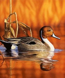 Waterfowl Duck paint by numbers
