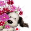 Aesthetic Dog With Flowers papint by numbers