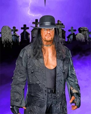 The Undertaker WWE panel spaint by numbers