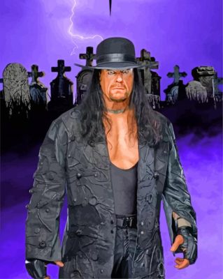 The Undertaker WWE panel spaint by numbers
