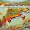 Trout Fish Underwater paint by numbers