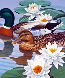 Waterfowl And Lotus panels paint by numbers