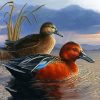 Waterfowl Bird Illustration panels paint by numbers