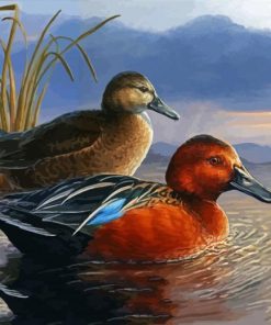 Waterfowl Bird Illustration panels paint by numbers