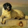 A Distinguished Member of the Humane Society by edwin landseer paint by numbers