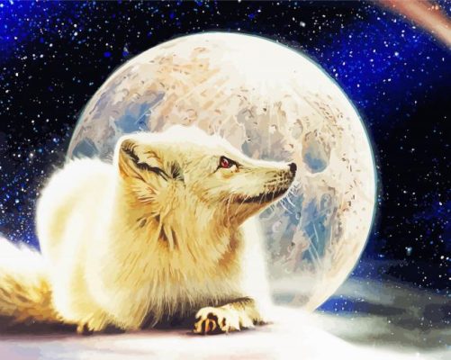 Arctic Fox Moonlight Paint by numbers