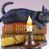 Black Cat On Books With Candle Paint by numbers