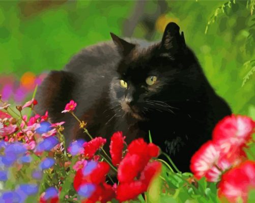 Black Cat Paint by number