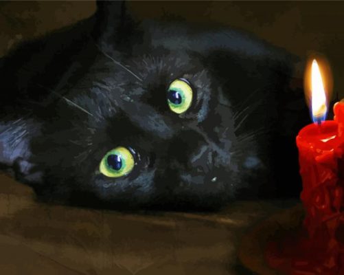 Black Cat Stare In A Candle paint by numbers