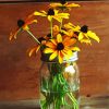 Black Eyed Susan In Glass Vase Paint by numbers