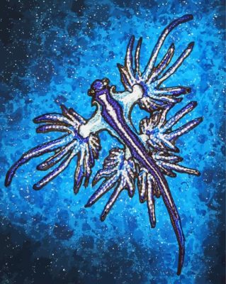 Blue Glaucus Nudibranch Paint by numbers