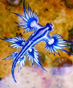 Blue Nudibranch paint by numbers