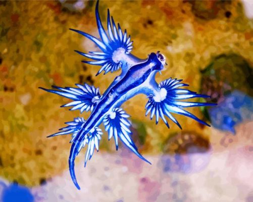 Blue Nudibranch paint by numbers