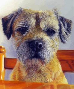 Border-terrier paint by numbers