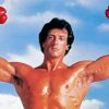 Boxer Sylvester Stallone paint by numbers