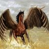 Brown Pegasus paint by numbers