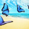 Butterflies on the beach paint by numbers