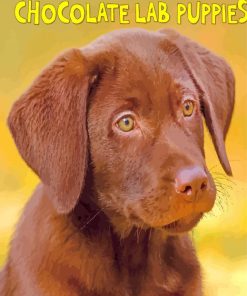 Chocolate Lab paint by numbers