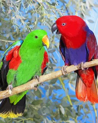 Colorful Australian Birds paint by numbers