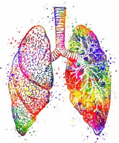 Colorful Lungs paint by numbers