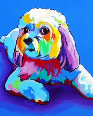 Colorful Cavachon Dog Paint by numbers