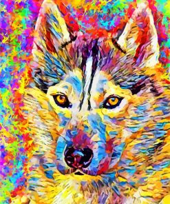 Colorful Pomsky paint by numbers