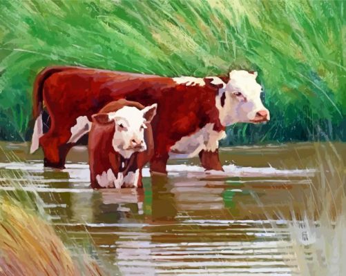 Cow And Calf In Water paint by numbers