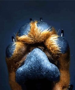 Dog paw paint by number