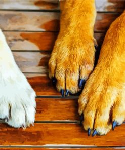 Dogs paws paint by numbers