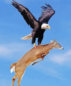 Eagle Hunting A Deer Paint by numbers