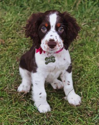 English Springer Spaniel Piant by numbers