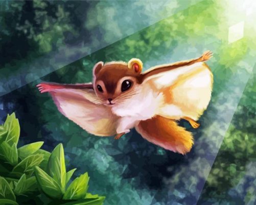 Flying Squirrel paint by numbers