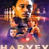 Harvey Film Poster paint by numbers