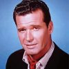 James Garner actor paint by numbers