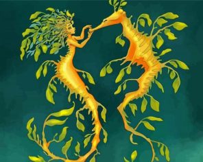 Leafy Sea Dragon paint by numbers