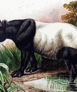 Malayan Tapir paint by numbers