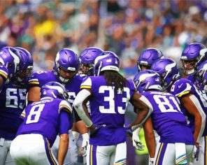 Minnesota Vikings Team paint by numbers