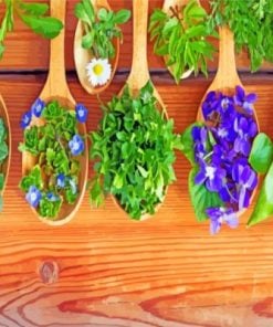 Naturopathy Spoons Paint by numbers