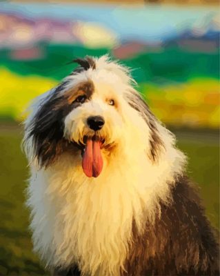 Old English Sheepdog Canine Bicolor Cute Photo Background And