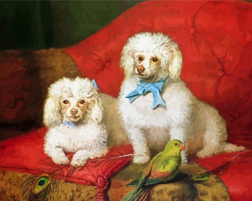 Poodle Dogs Paint by numbers
