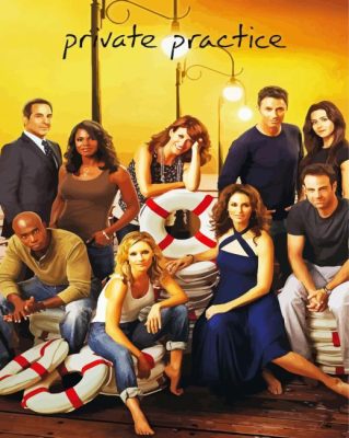 Private Practice Poster paint by numbers