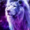 Purple lion paint by numbers