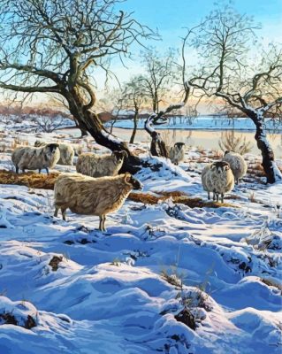 Sheep In Snow paint by numbers