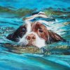 Springer Dog In Water Piant by numbers
