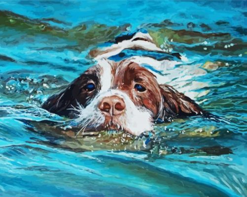 Springer Dog In Water Piant by numbers